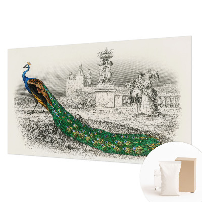 Tapet foto decorativ Farverige fjer