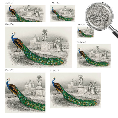 Tapet foto decorativ Farverige fjer