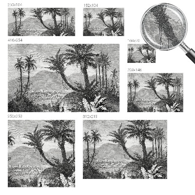 Fototapet modern pentru living Tropisk oase