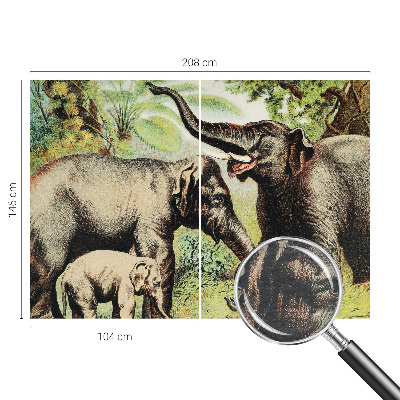 Fototapet vlies pentru copii Familie elefanter