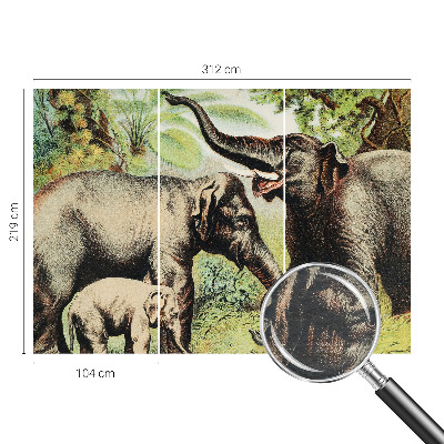 Fototapet vlies pentru copii Familie elefanter