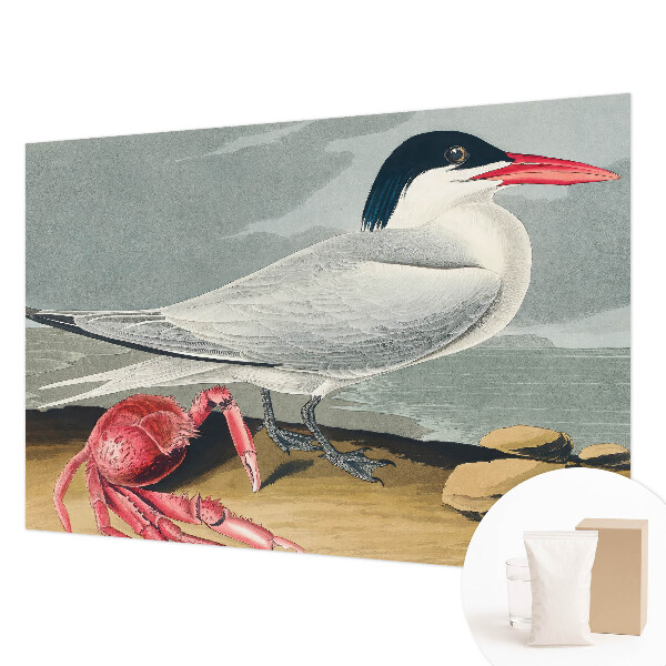 Fototapet vlies Havlandskab