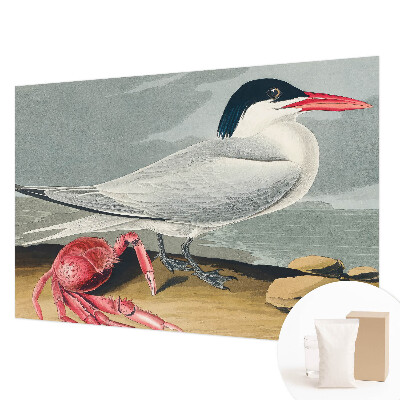 Fototapet vlies Havlandskab