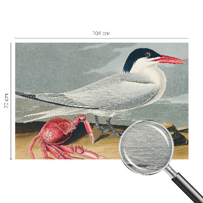 Fototapet vlies Havlandskab