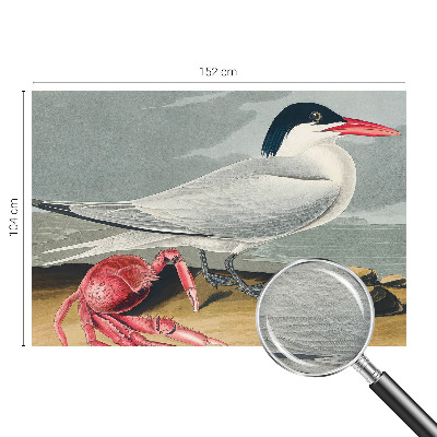 Fototapet vlies Havlandskab