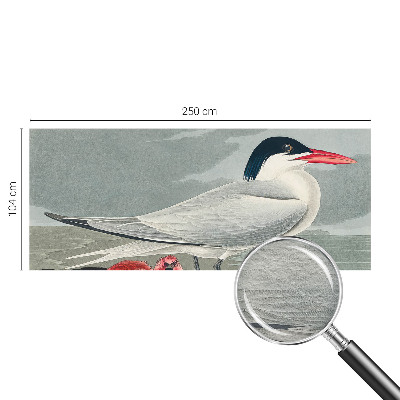 Fototapet vlies Havlandskab