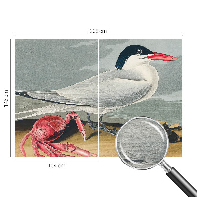 Fototapet vlies Havlandskab