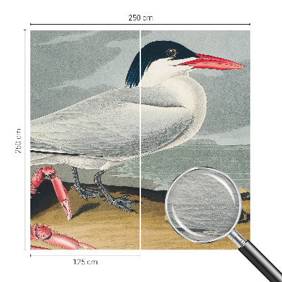 Fototapet vlies Havlandskab