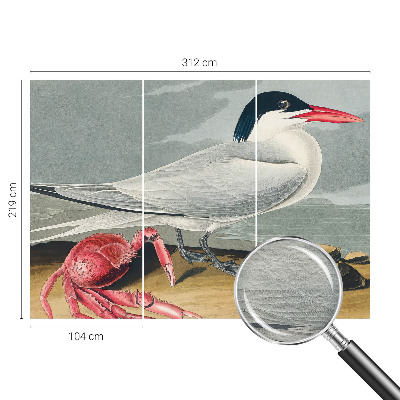 Fototapet vlies Havlandskab