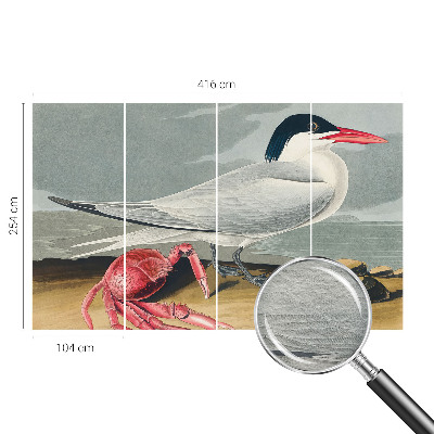 Fototapet vlies Havlandskab