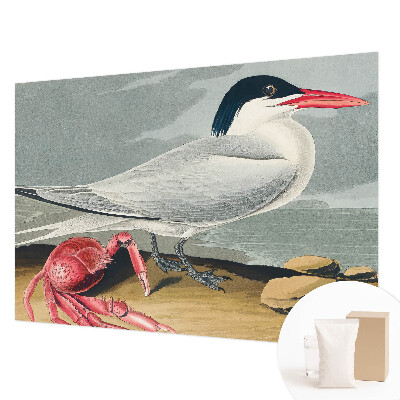 Fototapet vlies Havlandskab