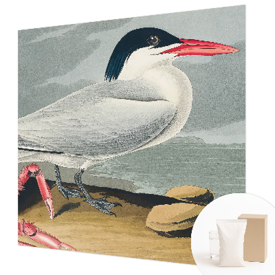 Fototapet vlies Havlandskab