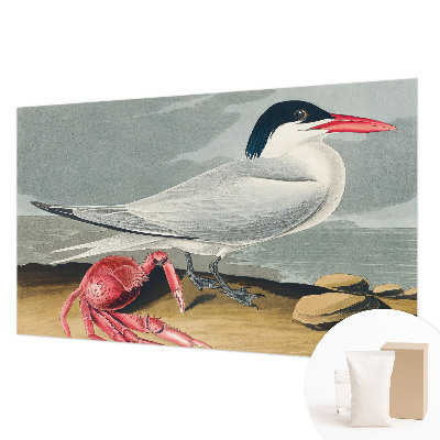 Fototapet vlies Havlandskab