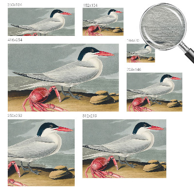 Fototapet vlies Havlandskab