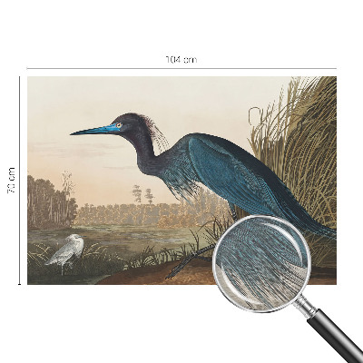 Fototapet vlies pentru dormitor Vandfugle