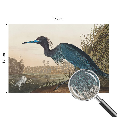 Fototapet vlies pentru dormitor Vandfugle