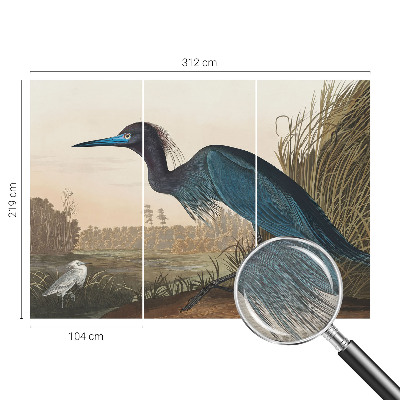 Fototapet vlies pentru dormitor Vandfugle