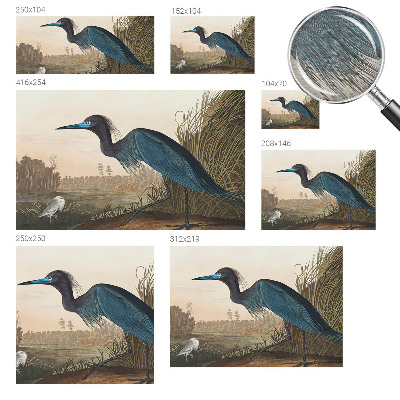 Fototapet vlies pentru dormitor Vandfugle