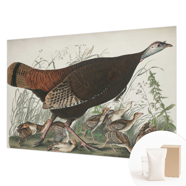 Tapet Naturlig harmoni