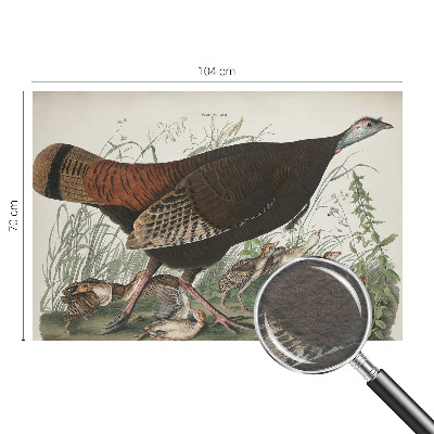 Tapet Naturlig harmoni