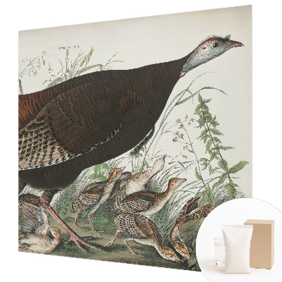 Tapet Naturlig harmoni