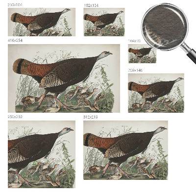 Tapet Naturlig harmoni