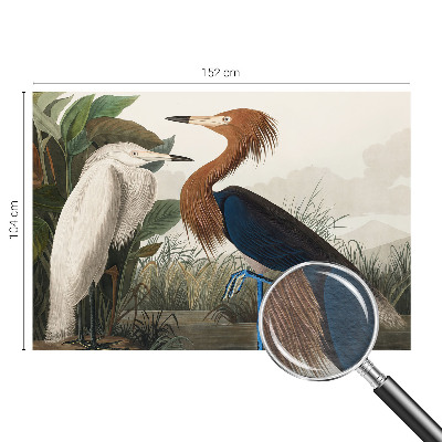 Tapet foto vlies Fugle i planter