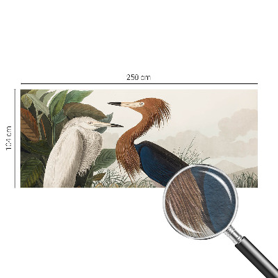 Tapet foto vlies Fugle i planter