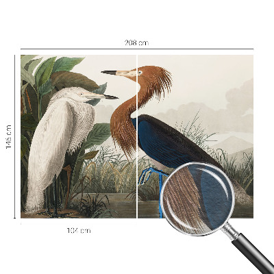 Tapet foto vlies Fugle i planter