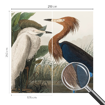 Tapet foto vlies Fugle i planter