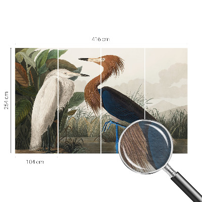 Tapet foto vlies Fugle i planter