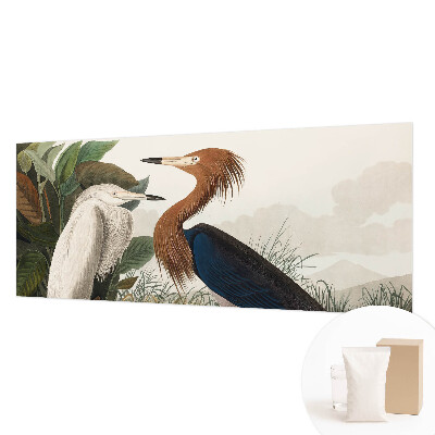 Tapet foto vlies Fugle i planter