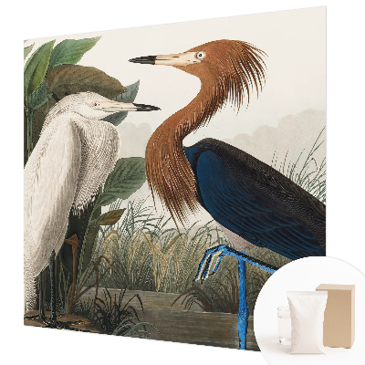 Tapet foto vlies Fugle i planter