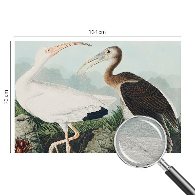 Fototapet vlies pe perete Fuglepar