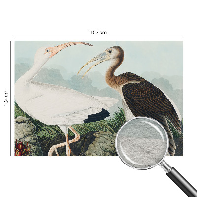 Fototapet vlies pe perete Fuglepar