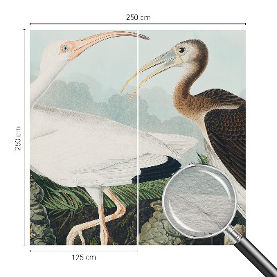 Fototapet vlies pe perete Fuglepar