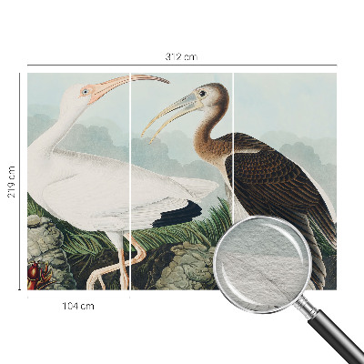 Fototapet vlies pe perete Fuglepar