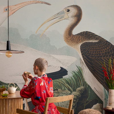 Fototapet vlies pe perete Fuglepar