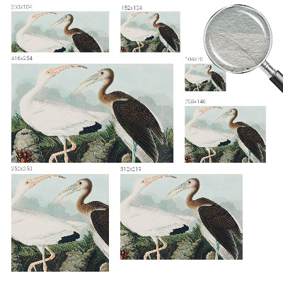 Fototapet vlies pe perete Fuglepar