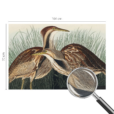 Tapet foto pe vlies Realistiske fugle