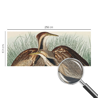 Tapet foto pe vlies Realistiske fugle