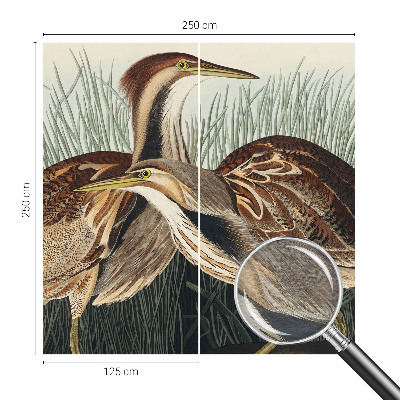 Tapet foto pe vlies Realistiske fugle