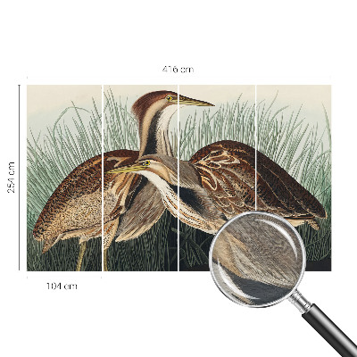 Tapet foto pe vlies Realistiske fugle