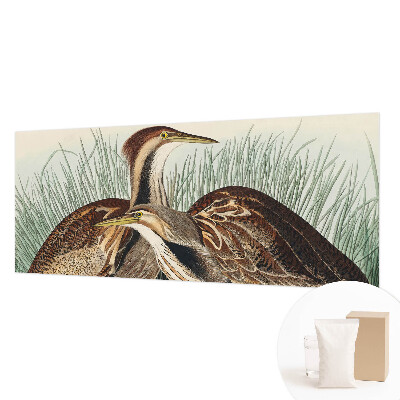 Tapet foto pe vlies Realistiske fugle