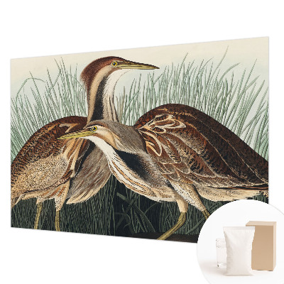 Tapet foto pe vlies Realistiske fugle