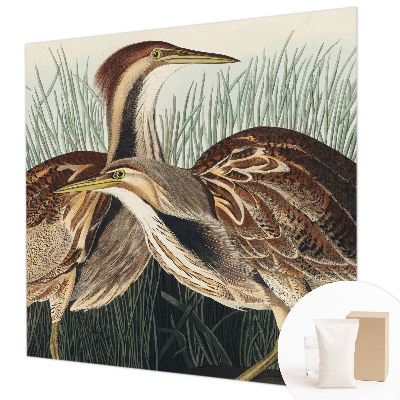 Tapet foto pe vlies Realistiske fugle