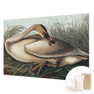 Fototapet vlies imprimat Naturlig fugl