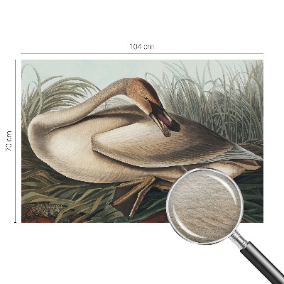 Fototapet vlies imprimat Naturlig fugl