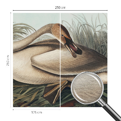 Fototapet vlies imprimat Naturlig fugl