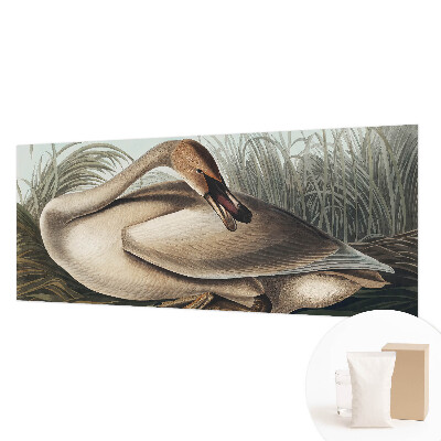 Fototapet vlies imprimat Naturlig fugl